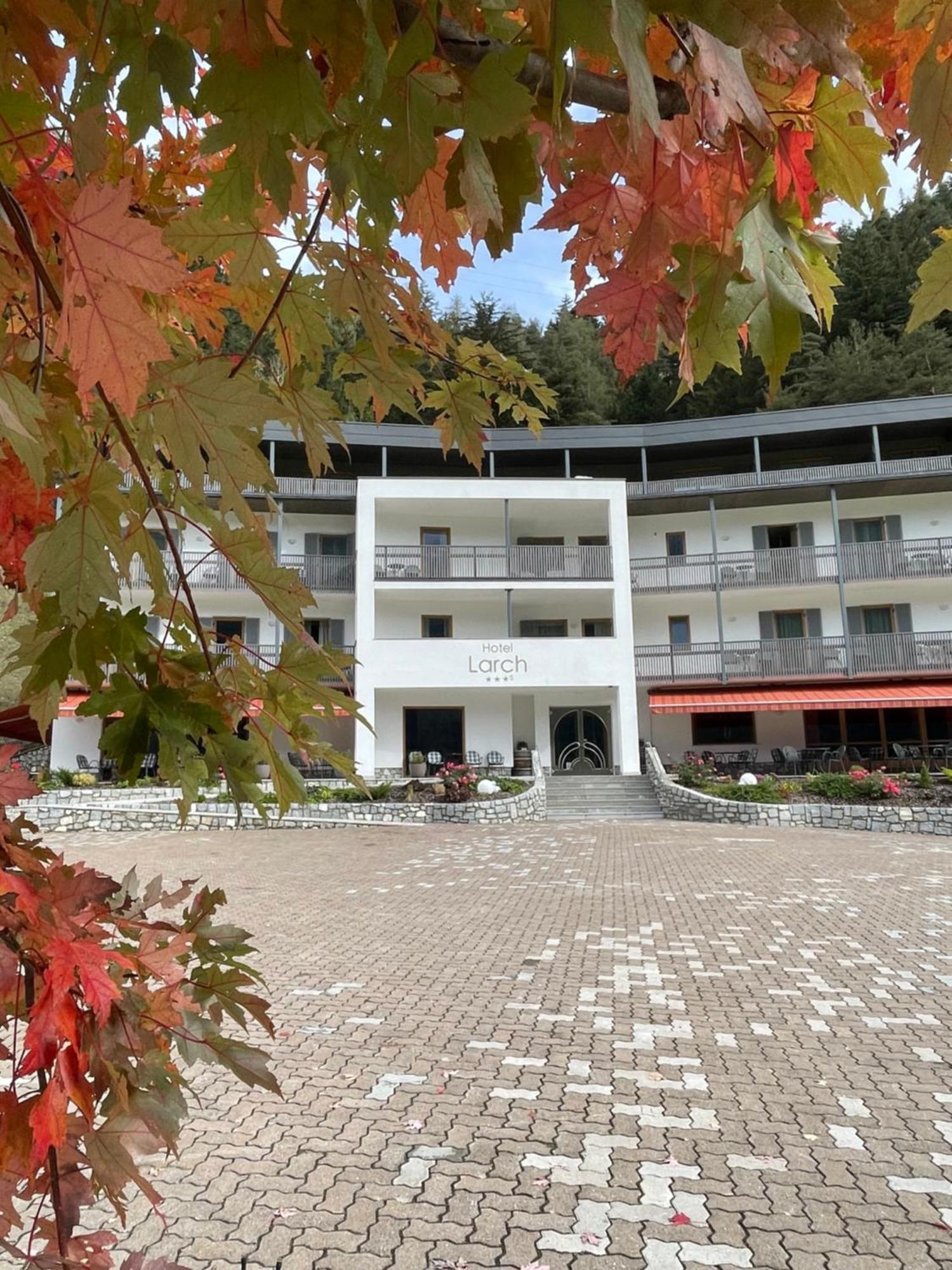Hotel Larch Кампо-ді-Тренс Екстер'єр фото